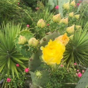 Meet your Posher, Natalia